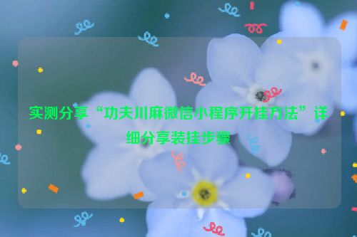 实测分享“功夫川麻微信小程序开挂方法”详细分享装挂步骤
