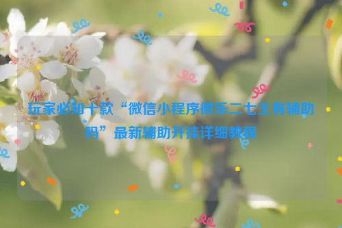 玩家必知十款“微信小程序微乐二七王有辅助吗”最新辅助开挂详细教程