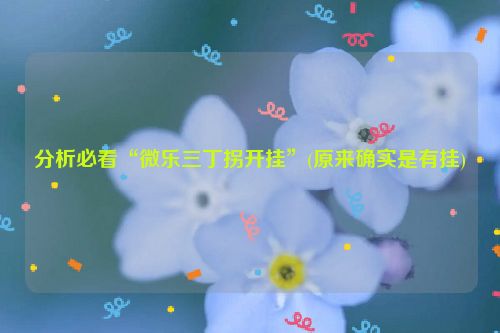 分析必看“微乐三丁拐开挂”(原来确实是有挂)