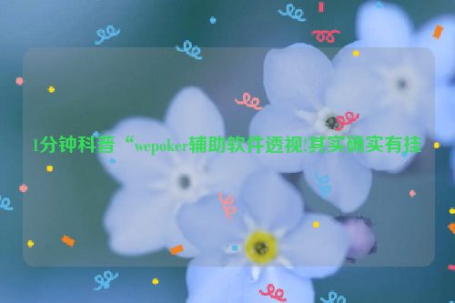 1分钟科普“wepoker辅助软件透视!其实确实有挂