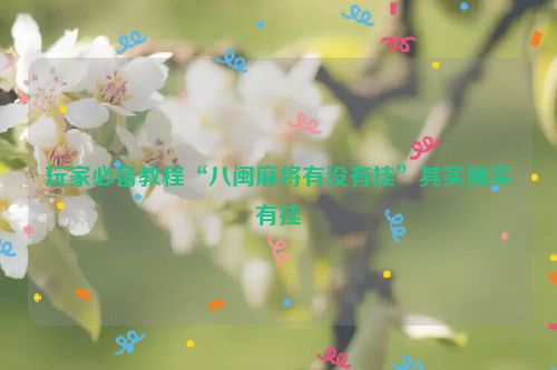 玩家必备教程“八闽麻将有没有挂”其实确实有挂