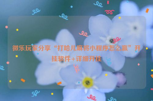 微乐玩家分享“打哈儿麻将小程序怎么赢”开挂软件+详细开挂