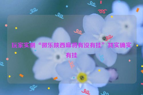 玩家实测“微乐陕西麻将有没有挂”其实确实有挂