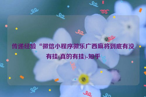 传递经验“微信小程序微乐广西麻将到底有没有挂(真的有挂)-知乎