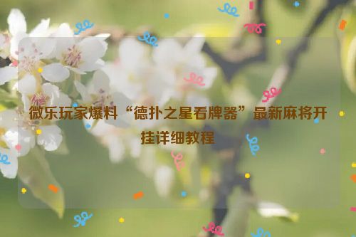 微乐玩家爆料“德扑之星看牌器”最新麻将开挂详细教程