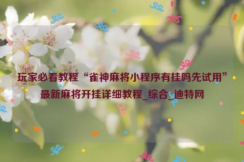 玩家必看教程“雀神麻将小程序有挂吗先试用”最新麻将开挂详细教程_综合_迪特网