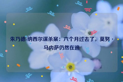 朱乃德-纳西尔谋杀案：六个月过去了，莫努·马内萨仍然在逃