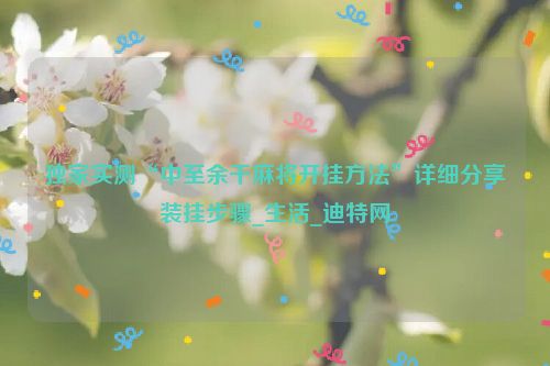 独家实测“中至余干麻将开挂方法”详细分享装挂步骤_生活_迪特网