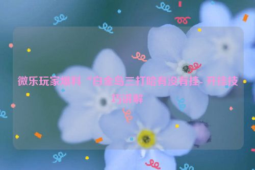 微乐玩家爆料“白金岛三打哈有没有挂- 开挂技巧讲解
