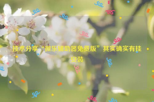 技术分享“微乐辅助器免费版”其实确实有挂安装