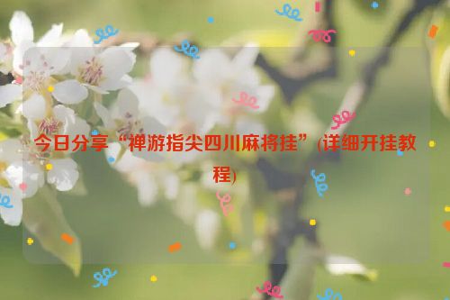 今日分享“禅游指尖四川麻将挂”(详细开挂教程)