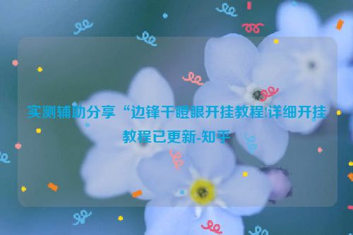 实测辅助分享“边锋干瞪眼开挂教程!详细开挂教程已更新-知乎