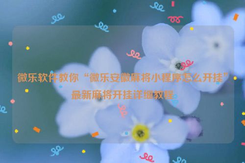 微乐软件教你“微乐安徽麻将小程序怎么开挂”最新麻将开挂详细教程