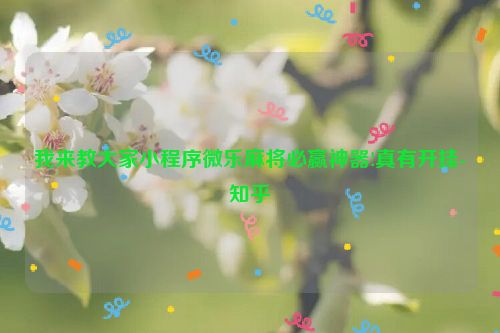 我来教大家小程序微乐麻将必赢神器!真有开挂-知乎