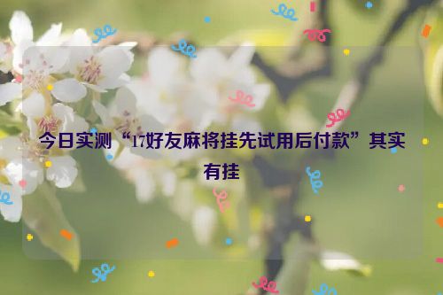 今日实测“17好友麻将挂先试用后付款”其实有挂