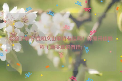 经验了解下!昆明文山麻将有挂吗！详细开挂教程（确实真的有挂)