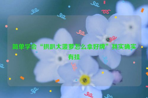 简单学会“拱趴大菠萝怎么拿好牌”其实确实有挂