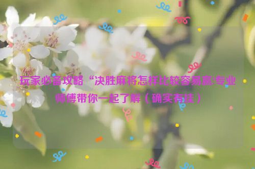 玩家必备攻略“决胜麻将怎样比较容易赢!专业师傅带你一起了解（确实有挂）