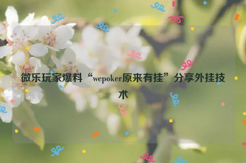 微乐玩家爆料“wepoker原来有挂”分享外挂技术