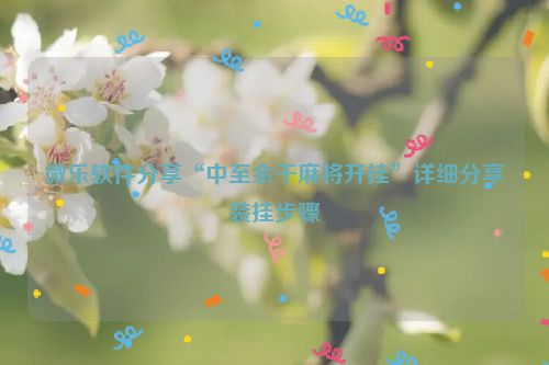 微乐软件分享“中至余干麻将开挂”详细分享装挂步骤