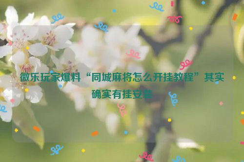微乐玩家爆料“同城麻将怎么开挂教程”其实确实有挂安装