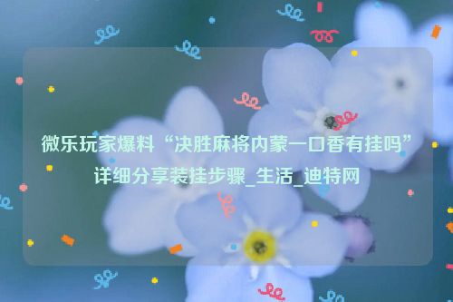 微乐玩家爆料“决胜麻将内蒙一口香有挂吗”详细分享装挂步骤_生活_迪特网