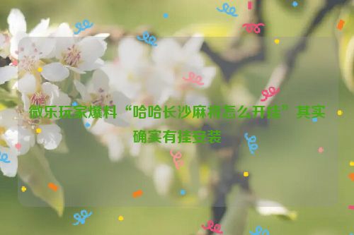 微乐玩家爆料“哈哈长沙麻将怎么开挂”其实确实有挂安装