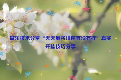 微乐技术分享“天天麻将川南有没有挂”真实开挂技巧分享