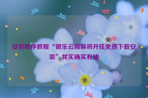 安装程序教程“微乐云南麻将开挂免费下载安装”其实确实有挂